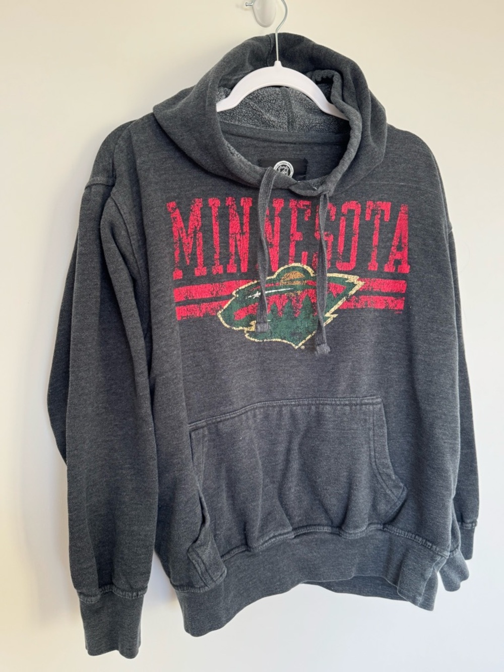 Minnesota Graphic Hooded Sweatshirt